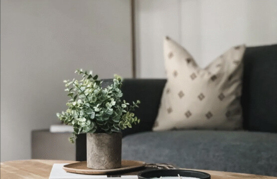 14a5fd0ce9394fe7a27ca797ee9e6fc7077292e08e50e8c697218e3f55566d0f bd1f689f21 v0 w1280xh0 rDEF.png.jpg