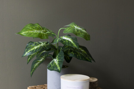 4c9d79f704a20ffa1008be1ca2be9a60de21e574240af33b0c08d7ef54e353c0 86818fc7a6 v0 w1280xh0 rDEF.jpg